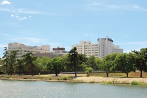 img_data74